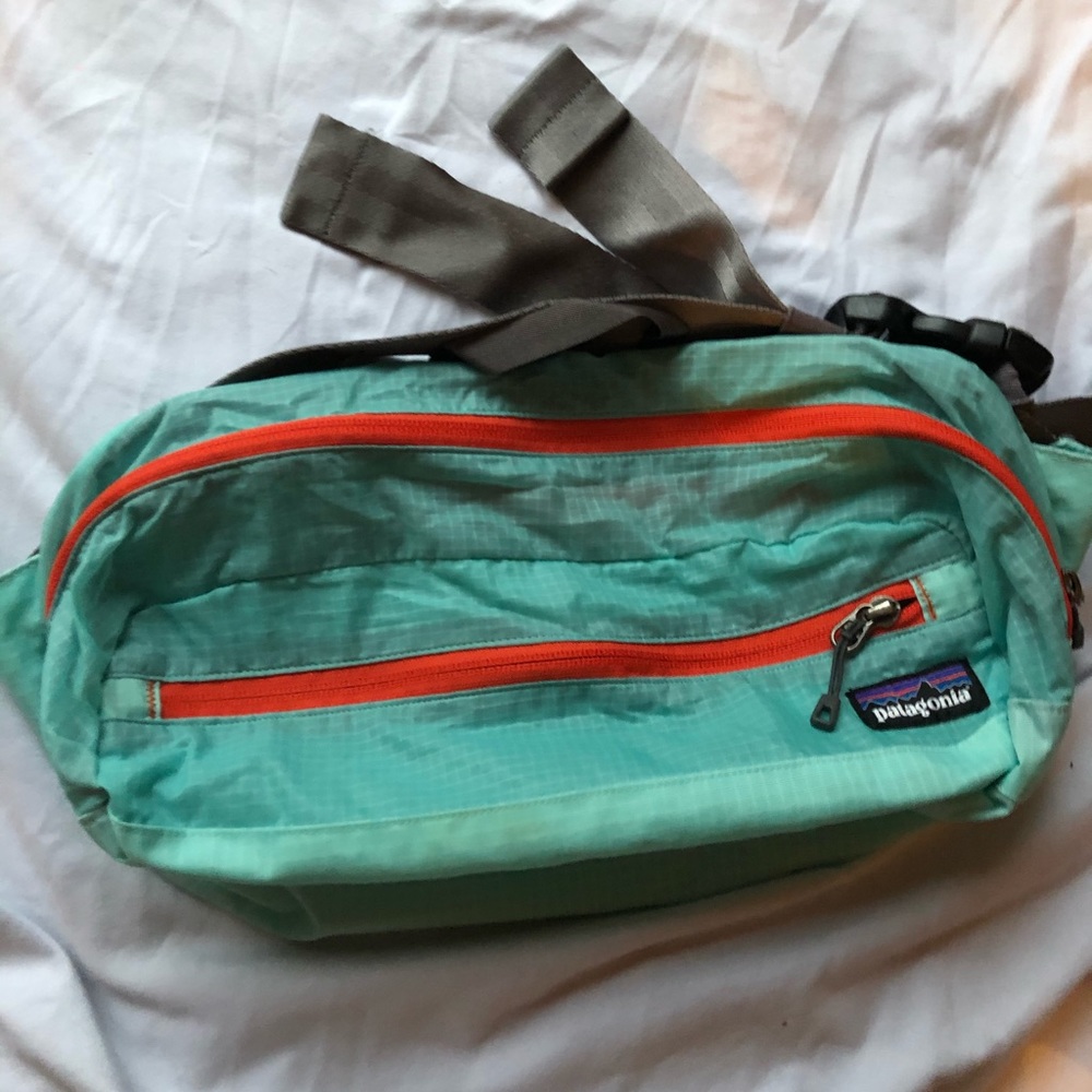 Patagonia Fanny Pack